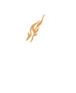 DEV Institution Saint-Dominique