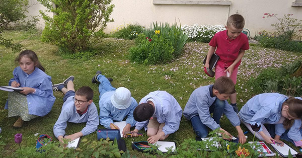 Lire la suite à propos de l’article Cours de science : la tulipe