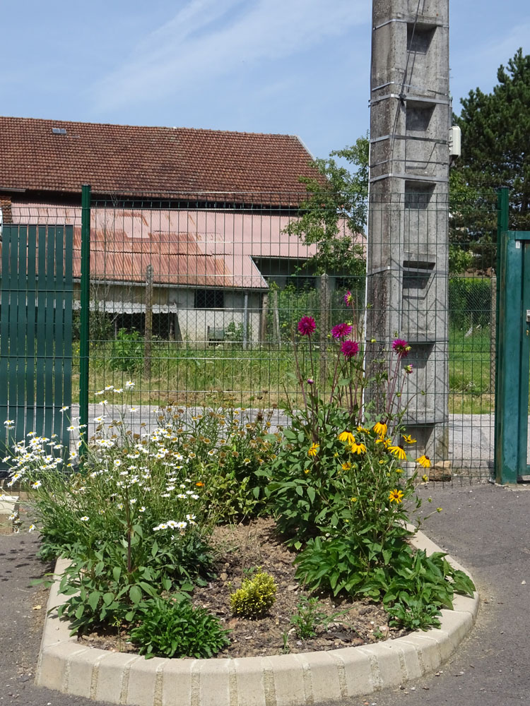 Rentrée fleurie